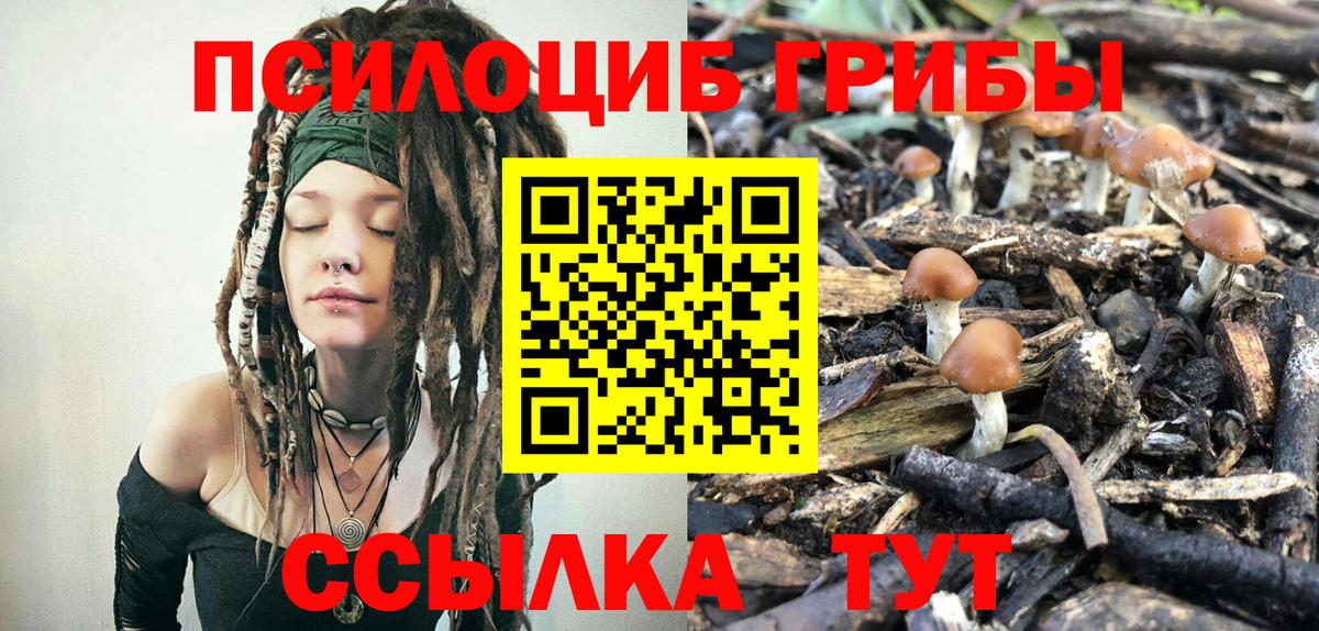 Торжок  Псилоцибиновые грибы мухоморы  Вход с VPN  Псилоцибиновые грибы мицелий 