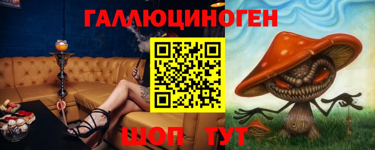 Псилоцибиновые грибы мицелий Торжок